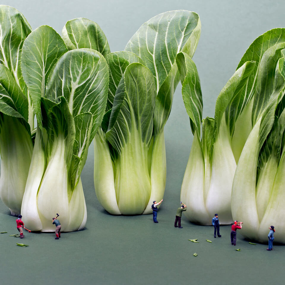 Image of Bok Choy Cutters