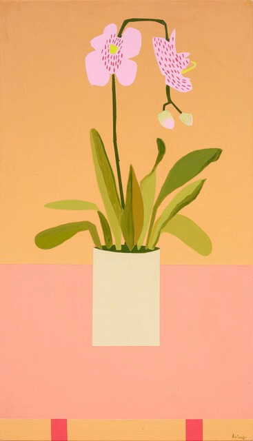 Image of Orchid on a Table 2023