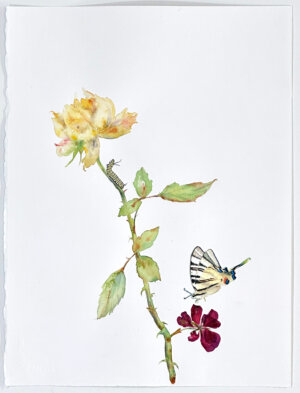 Photo of Rose and Geranium artwork