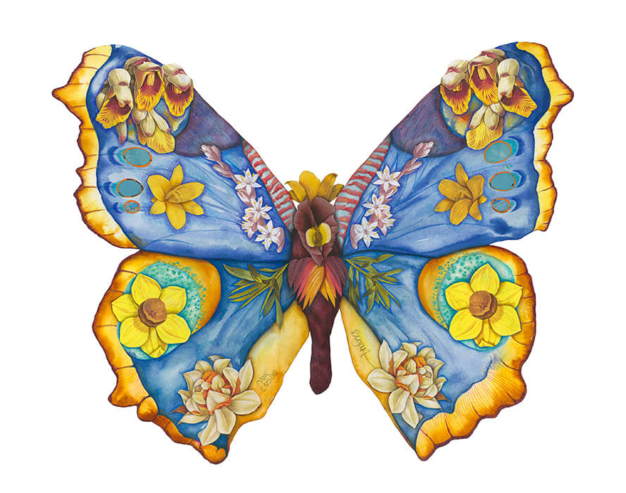 Image of Habakkuk – Butterfly