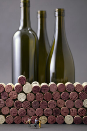 Photo of Wine Cellar Tasting artwork