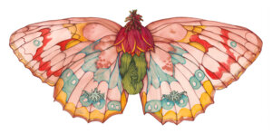 Photo of Zephaniah (Butterfly 6) artwork