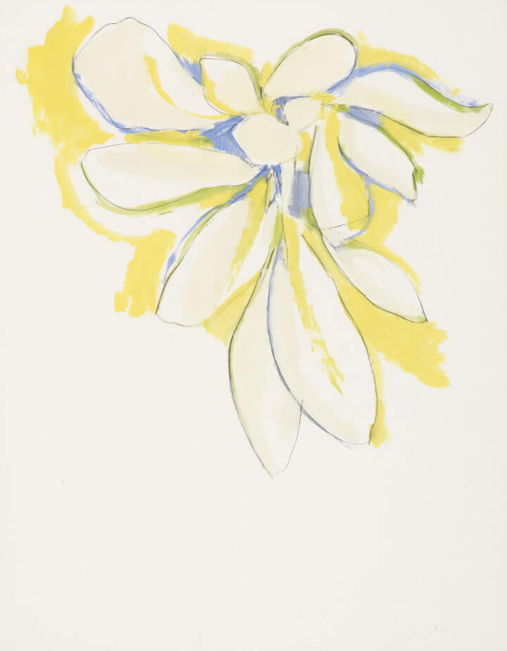 Image of Untitled (D259) Leaves 1972
