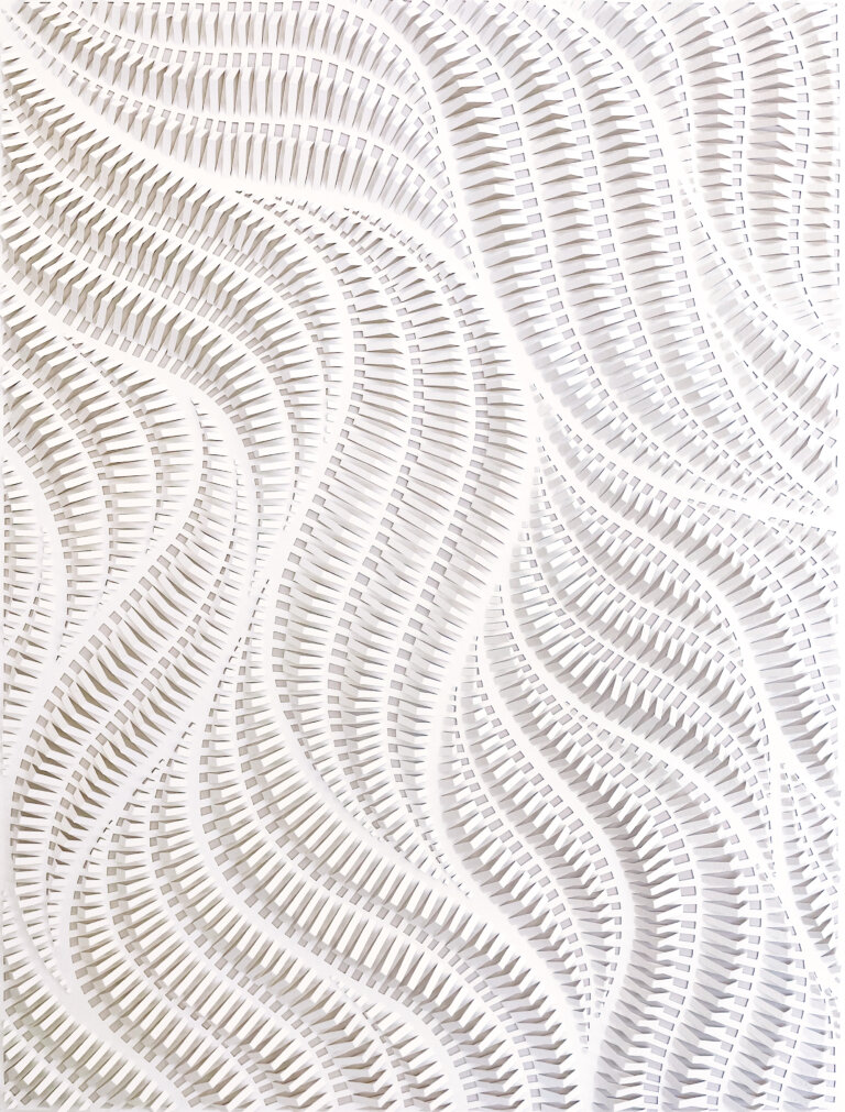 a hand cut paper relief on white paper scored with a thin blade to produce depth and variation of texture in an organic, swaying pattern