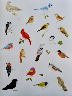 Photo of Backyard Birds of North Texas artwork