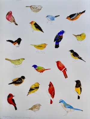 Photo of Birds of Texas Big Bend Country artwork