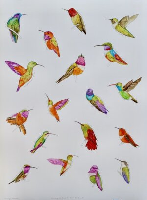 Photo of Hummingbirds of the Desert Southwest artwork
