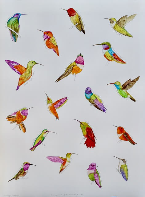 Image of Hummingbirds of the Desert Southwest