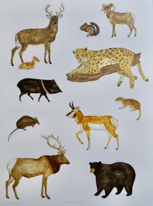 Photo of Texas Land Mammals artwork