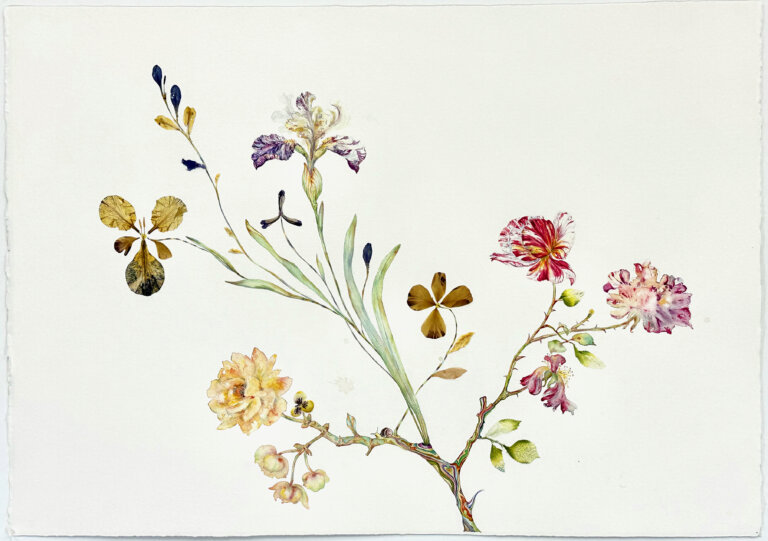 a mixed media piece on a blank white background featuring a multicolored, twisty branch off of which sprout long pale green leaves and a purple and yellow bearded iris. there is a fluffy yellow rose to the left, with a few smaller pale yellow blossoms near it. on the right side there are two utrillo roses, one a bright red and white and the other a more muted mauve and peach. there is a small brown snail on the stem of the yellow rose.