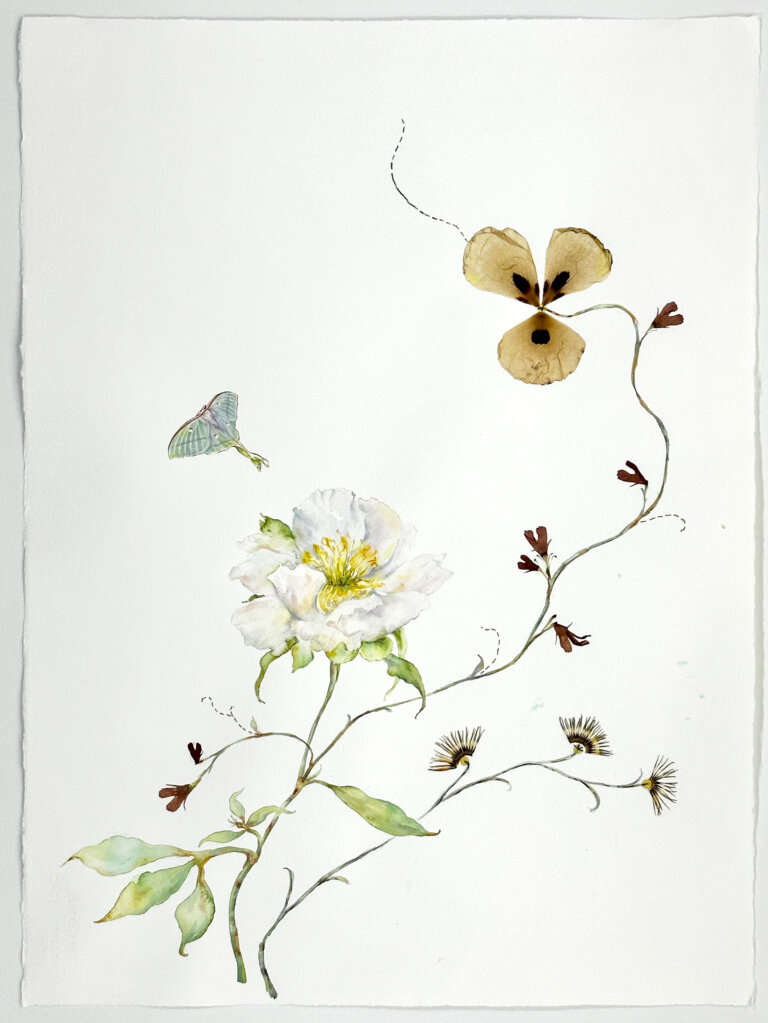a mixed media piece featuring a wild, winding green stem that has two large flowers growing from it: one flower is a fluffy white peony with a yellow center and pale green sepals, and the other is an amber colored flower with three petals and a dark brown center. near the white peony is a pale blue luna moth in flight. the stem has several pale green leaves and a few small dark brown flowers.