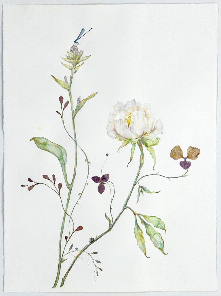 a mixed media piece on a blank white background of a large fluffy white peony on a pale green stem. there is another stem to the left of the peony, and it holds a flower that resembles a thistle. there are a few deep purple buds and pale green leaves sprouting from each of the stems. on the thistle-like blossom there is a pale blue dragonfly resting lightly on the top. there is a small deep green snail crawling up the peony's stem