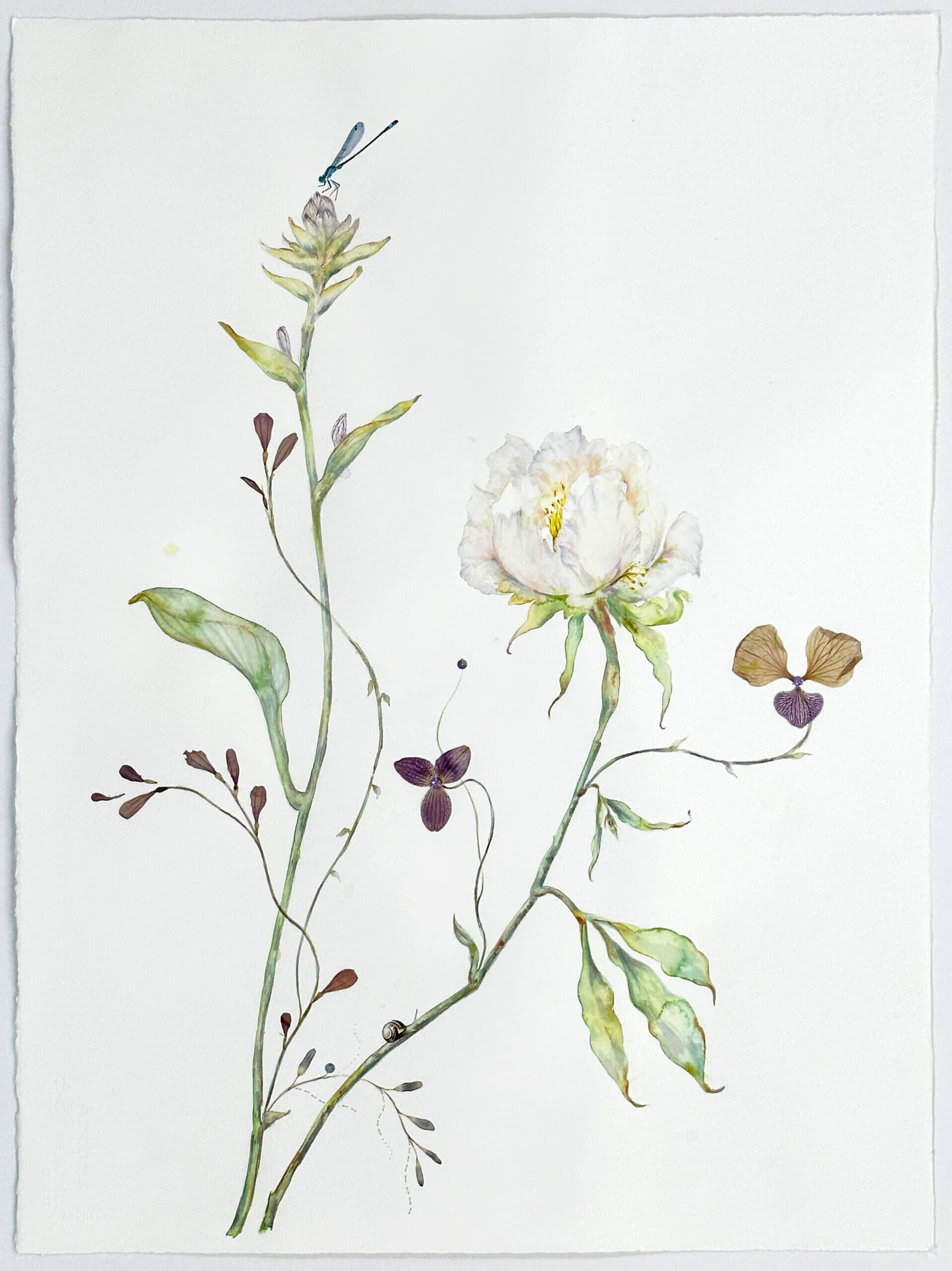 Image of Orchids and White Peony 2023