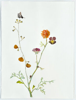 Photo of Ranunculus, Poppies and Zebra Butterfly 2023 artwork