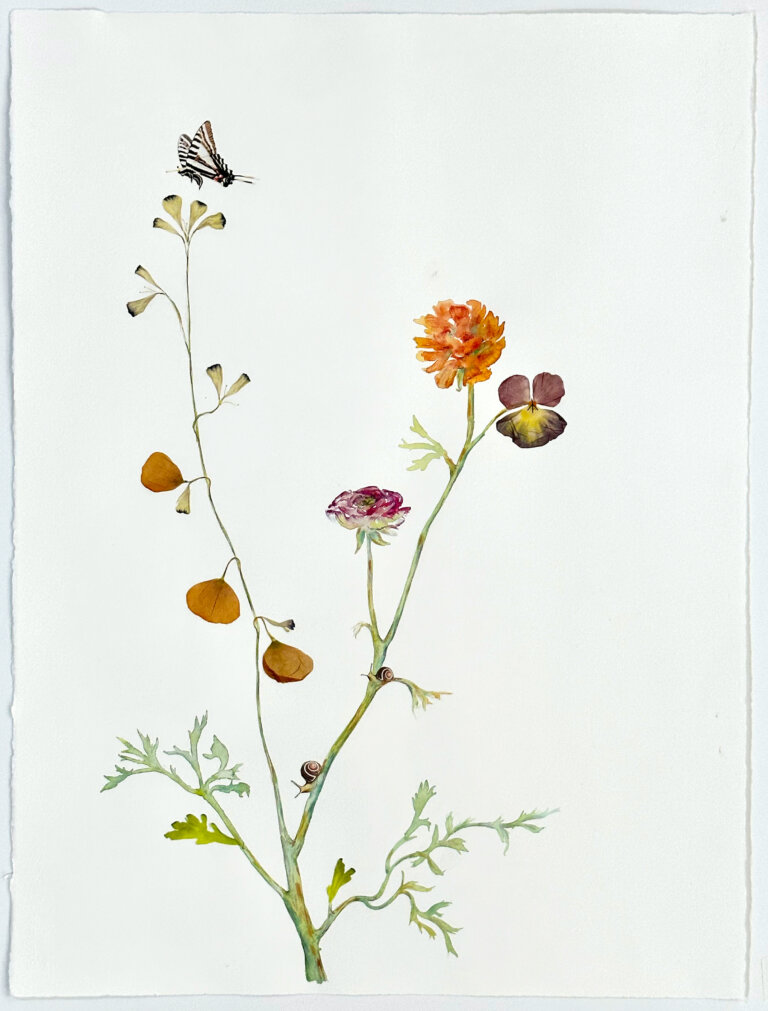 a mixed media piece on a blank white background with two long pale green stems. on one stem there are a few pale yellow and deep gold flowers. at the top of this stem, which is on the left side of the piece, there is a black and white zebra swallowtail butterfly hovering. the right stem has a pink ranunculus flower, an orange fluffy blossom, and a purple and yellow pansy. on the right stem, there are two brown snails crawling in between the leaves.