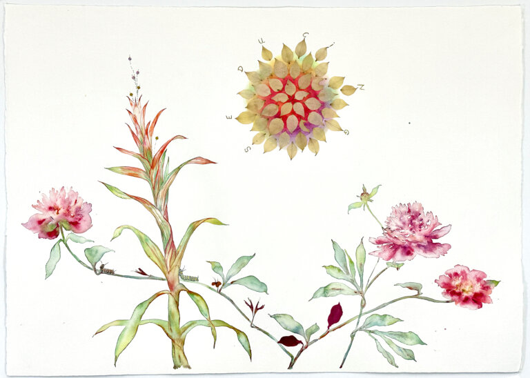 a mixed media piece on a blank white background with a large sunburst flower with pale muted yellow petals radiating outwards. the center of this flower is a gradient of red, yellow, green, violet, and persimmon. letters written in pencil spelling out the word "seducing" are written around the sunburst by the outermost ring of golden petals. below the sunburst is a large green and red leafy stalk and three pink peonies on thin stems. there is a small monarch caterpillar crawling on one of the pale green stems.