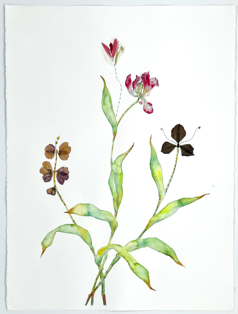 a mixed media piece on a blank white background featuring three light green stems of flowers; the left stem is an indigo and deep gold flower, the center is a pink and white flower, and the right is a dark brown flower with three petals. there are a few long green leaves on each stem, each painted in watercolor so that they appear like a gradient.