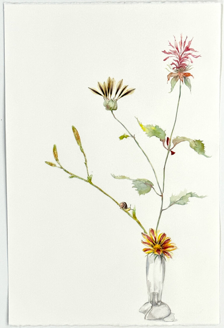 a mixed media piece on a blank white background featuring a small white vase in the bottom right corner of the piece. there are a few long pale green stems protruding from the vase; one has two unopened yellow flower buds and a small brown and pale tan snail and the other stem has two flowers, one pink and spiky, and the other brown and yellow, along with several spiky green leaves. there is also a yellow and red daisy at the mouth of the vase as if it is just resting there.