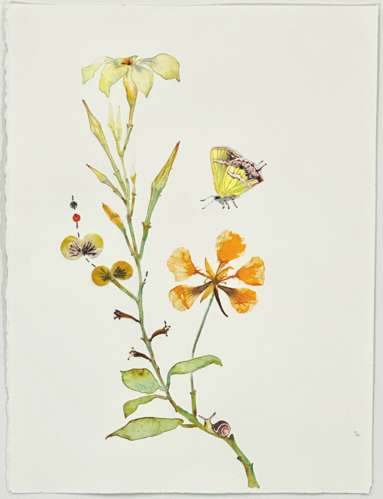 a mixed media piece on a blank white background featuring a green stem with a variety of blossoms growing from it. there is a large yellow blossom near the top, and a burst of smaller orange blossoms to the bottom right. at the middle left is a burst of yellow and purple pansy blossoms. above the orange blossoms floats a yellow butterfly. there is a small brown and tan snail at the base of the stem.