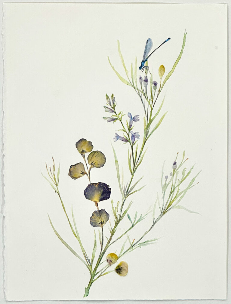 a mixed media piece on a blank white background featuring feathery green leaves off a thin green central stem, off which grow a burst of purple and yellow pansy blossoms along with a periwinkle flower. at the top, a small blue dragonfly rests lightly on lilac colored flowers.