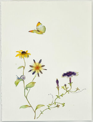 Photo of Orange Tip Butterfly and Petunia artwork