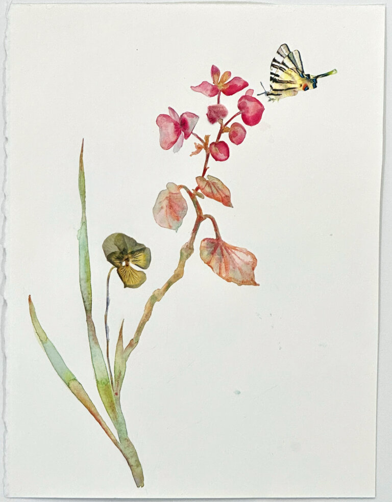 a mixed media piece on a blank white background featuring a few light green stems of flowers. there is a cluster of bright rose-colored flowers and pale peachy leaves as well as a yellow and purple pansy. at the top of the piece sweeping towards the rosy blossoms is a yellow swallowtail butterfly.