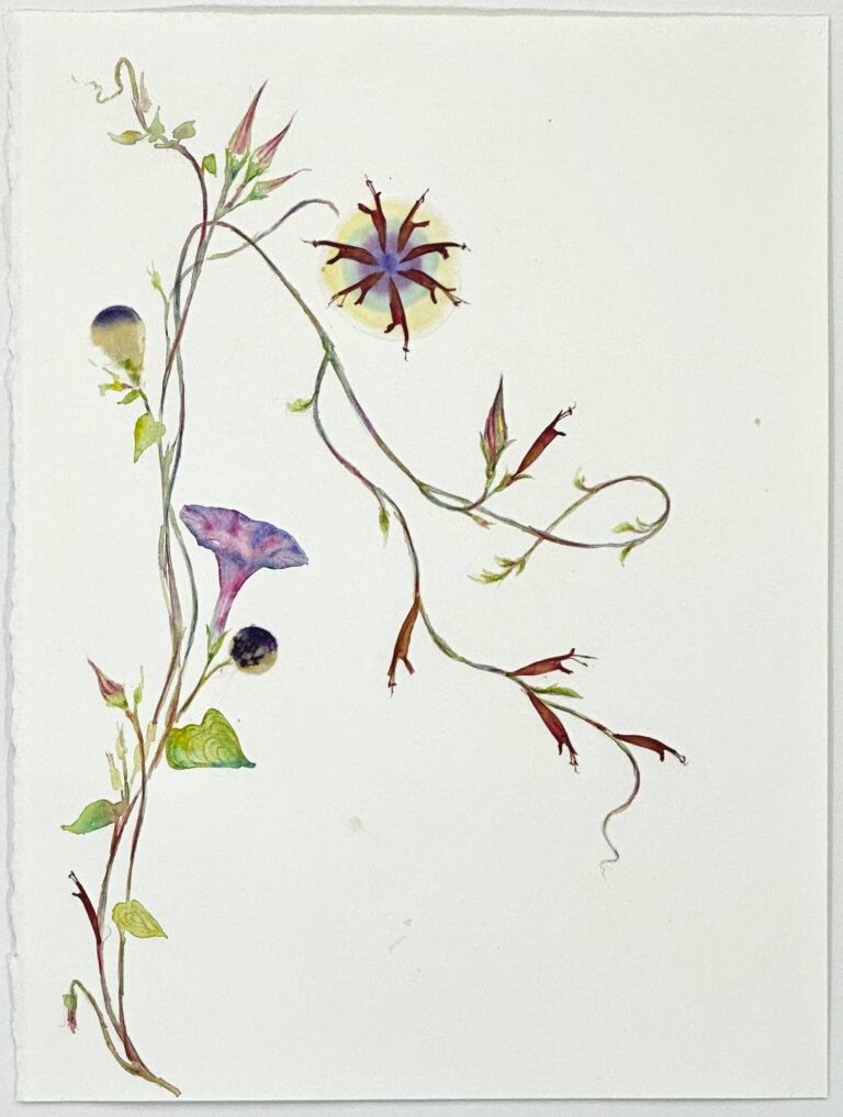 a mixed media piece on a blank white background featuring a few vines with flowers. there is a a purple morning glory flower, a light yellow and blue petal, a purple bursting flower with a yellow halo and reddish petals. there are a few green leaves and red blossoms scatter throughout.