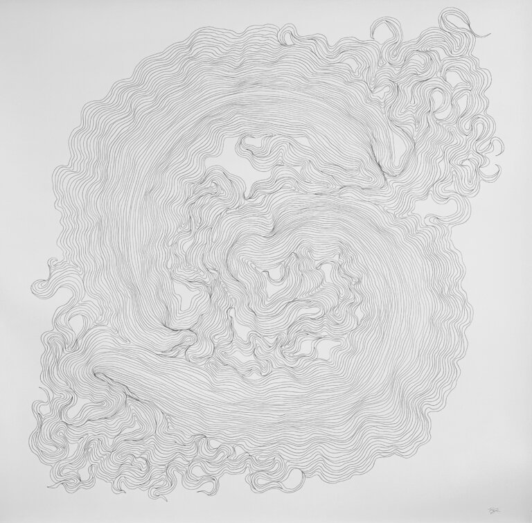 an abstract graphite piece on paper created with thin almost parallel winding lines creating a swirling "s" shape