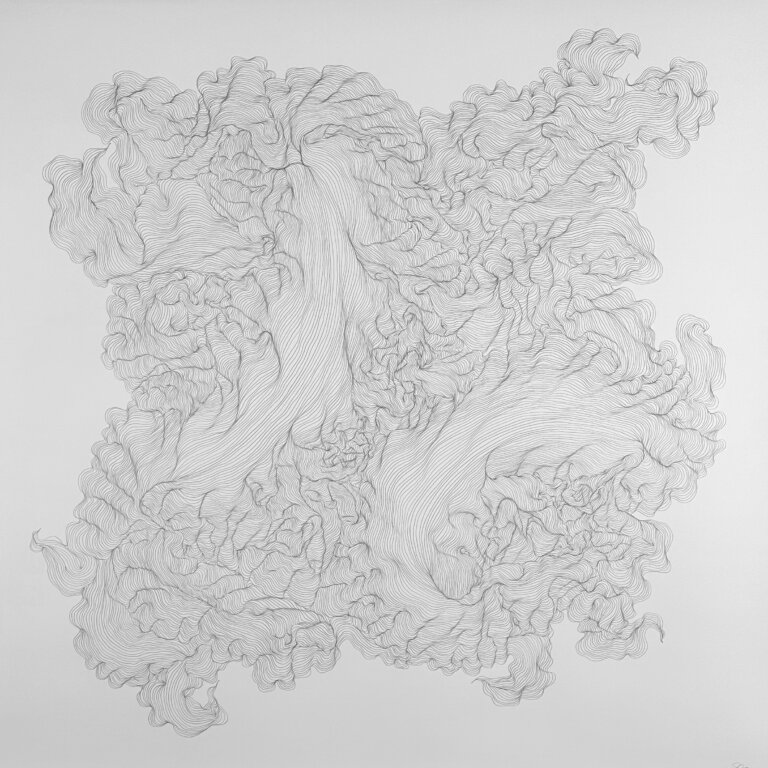 an abstract graphite piece on paper created with thin almost parallel winding lines giving the impression of waves or a topographical map from an aerial view