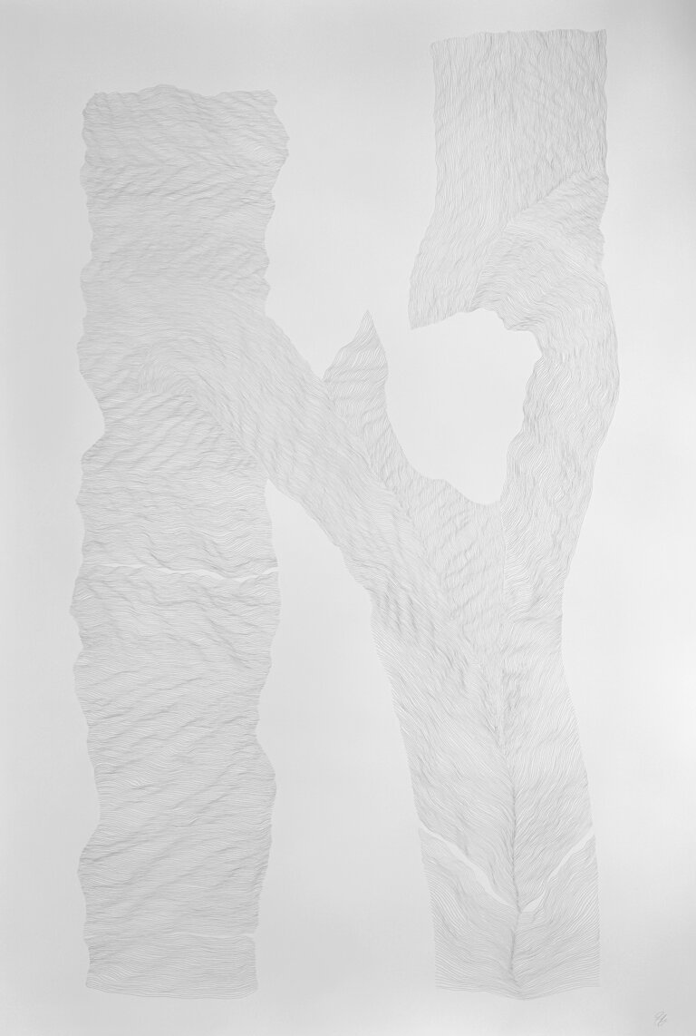 an abstract graphite piece on paper created with thin almost parallel winding lines giving the impression of a large letter "n" on the piece. the lines create an effect that is reminiscent of an aerial topographical map
