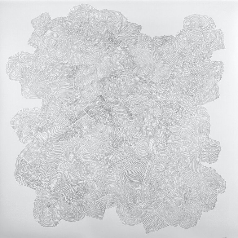 an abstract graphite piece on paper created with thin almost parallel winding lines giving the impression of several chunks of field. the lines look like the furrows created by a plow in an agrarian field.