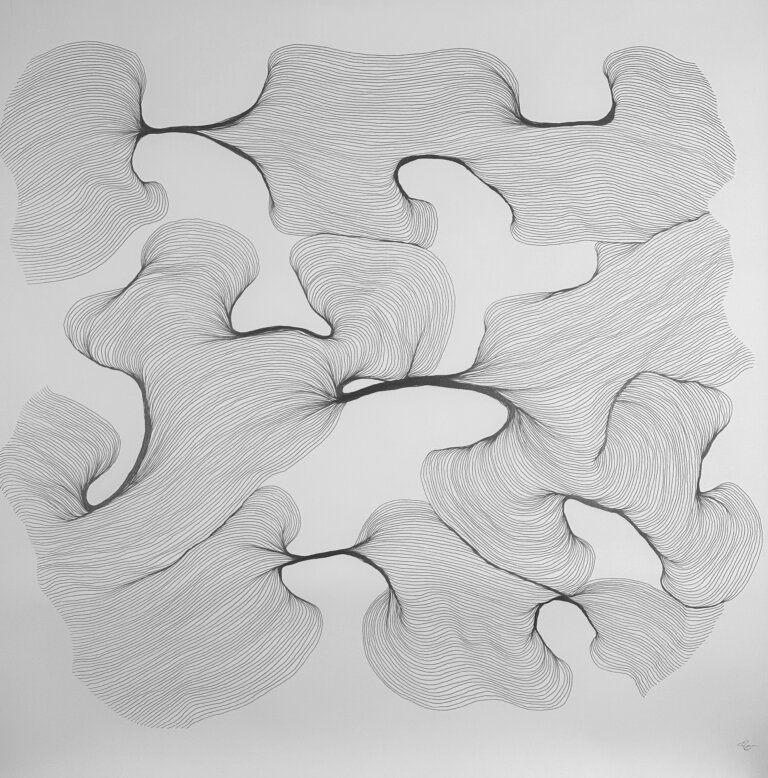 an abstract graphite piece on paper created with thin almost parallel winding lines giving the impression of sound waves