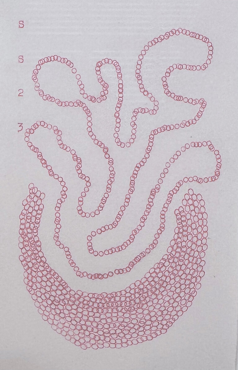 an abstract piece on paper created with hot pink typewriter ink with the repeated letter "o" over and over to create a bowl-like shape at the bottom with a long squiggly line of "o's" looping above it to create an organic shape. the artist's signature, "SS" is in the top left corner with the year "23"