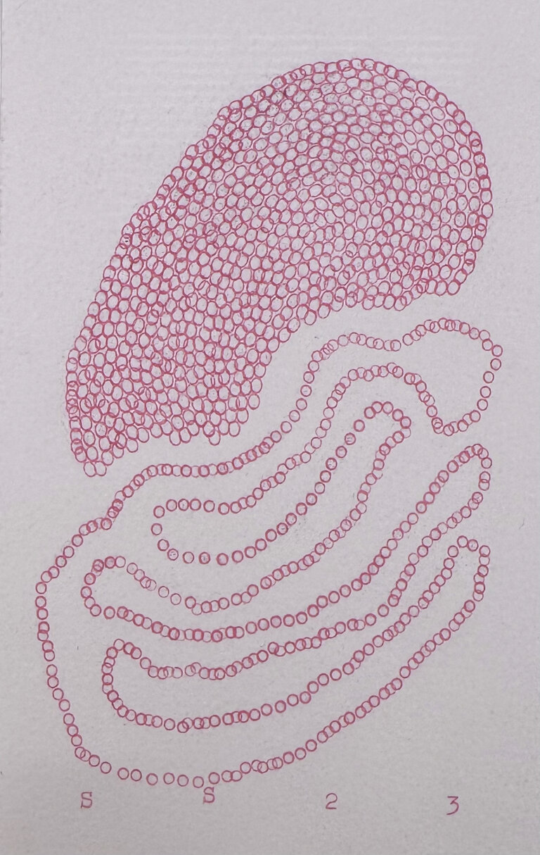 an abstract piece on paper created with hot pink typewriter ink with the repeated letter "o" over and over to create a rounded almost half circle shape above a squiggly line of "o's" looping below it to create an organic shape. the artist's signature, "SS" is at the bottom with the year "23"