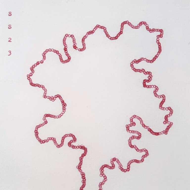 an abstract piece on paper created with a typewriter in pink ink repeating the same letter "o" over and over in a squiggle line that creates an organic shape. the artist's signature, "SS" is in the top left corner with the year "23"