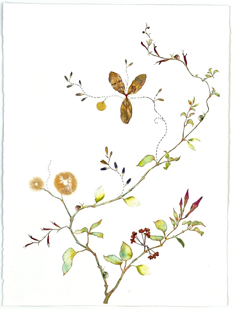 an abstract play on a traditional botanical watercolor. this piece has a y-shaped vine that bears multiple flowers, all different species. there are beautiful green leaves and small dark purple buds adorning the stems along with a few small snails.