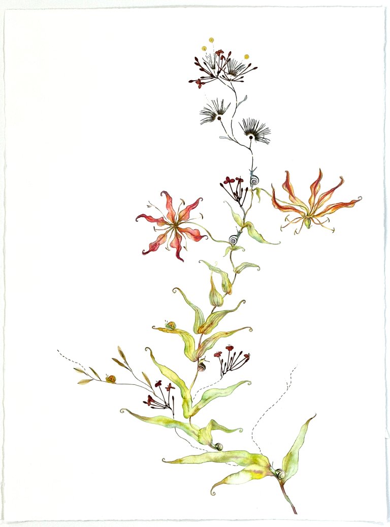 an abstract play on a traditional botanical watercolor. there is a single stem adorned with curly green and yellow leaves along with two flame-colored gloriosa blossoms. there are a few dark red spiny flowers as well. along the stem, the artist has depicted small snails to bring an air of life and movement to the piece