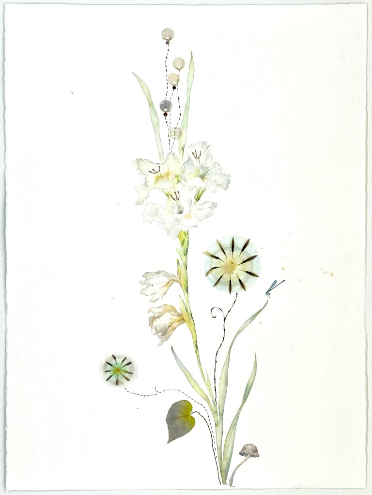 an abstract play on a traditional botanical watercolor. there is a fluffy white gladiolus blossom in the center of this piece with a few other smaller flowers growing from the same stem. there is a small mushroom at the bottom of the stem, and a tiny blue dragonfly captured in watercolor as if it is about to land on the delicate leaves of the plant