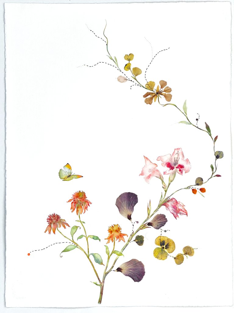an abstract play on a traditional botanical watercolor. this is a colorful piece that features a curving stem of blossoms of different varieties. there are small fluffy orange flowers, pressed purple and yellow petals, pink and white trumpet-shaped blooms, and golden brown pressed petals towards the end of the vine. there are also yellow pansy flowers as well. there is small mint colored butterfly with yellow accents and orange and black wingtips hovering above the fluffy orange blossoms.