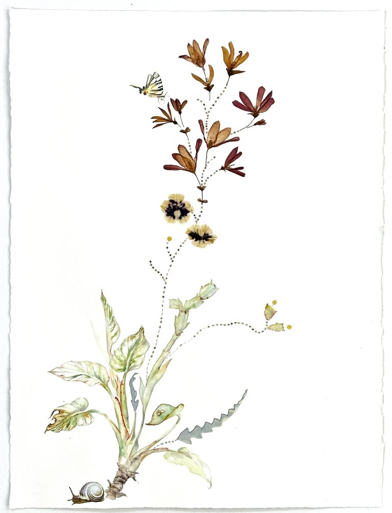 an abstract interpretation of botanical watercolor against a white background. there is thick root with several fluffy leaves and stems sprouting upwards from it. the longest stem is a finely stitched line in dark thread that leads upwards to a handful of orange and deep mauve pressed flower blossoms. there is a large snail with a light colored shell next to the base of the root. there is a yellow and black striped swallow-tail butterfly floating by the pressed blossoms.