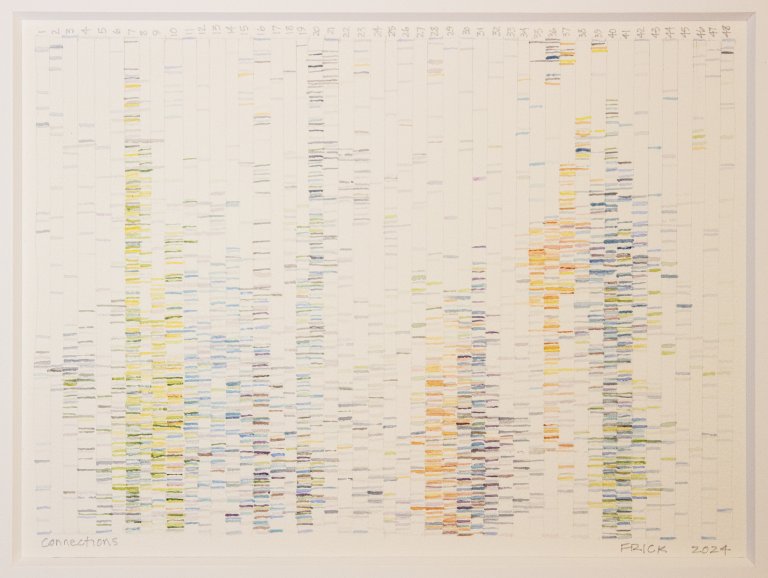 a linear art piece showing 48 vertical columns in a row. each column is populated by different small horizontal lines. each column has its own colorway. some are slate gray, some lilac, some tangerine, some sky blue, some lime, and some dove gray. the artist has signed the piece in the bottom right corner "FRICK 2024" and titled it in the bottom left corner "Connections" in graphite. there is a list of numbers 1-48 in graphite corresponding with the columns at the top of the piece.