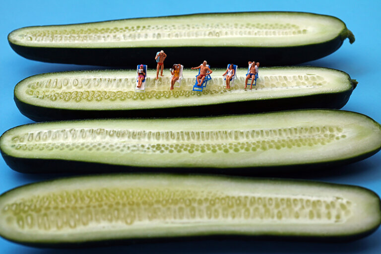 an imaginative photograph showing four cucumber halves face up in a line. on the second to the top cucumber, there are six miniature figures sunbathing. each reclines on a beach chair except for the second to the left, who stands with his hand on his hip conversing the rest of the figures