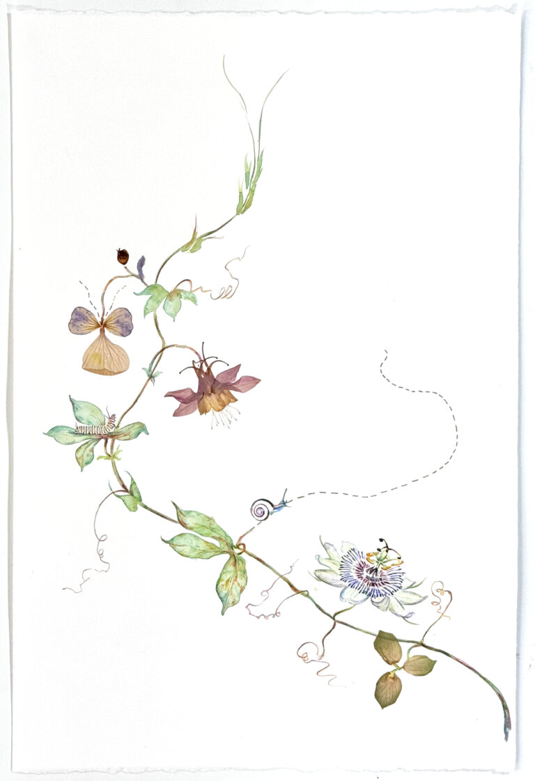 a mixed media piece made of watercolor, pressed flowers, thread, sequins, and other unique materials that creates a twist on a classic botanical watercolor. the vine swoops upwards from the bottom right to the left and then to the center. there are a few soft green leaves and blossoms in different colors. the artist has included stitched detailing and placed small snails and caterpillars on it.