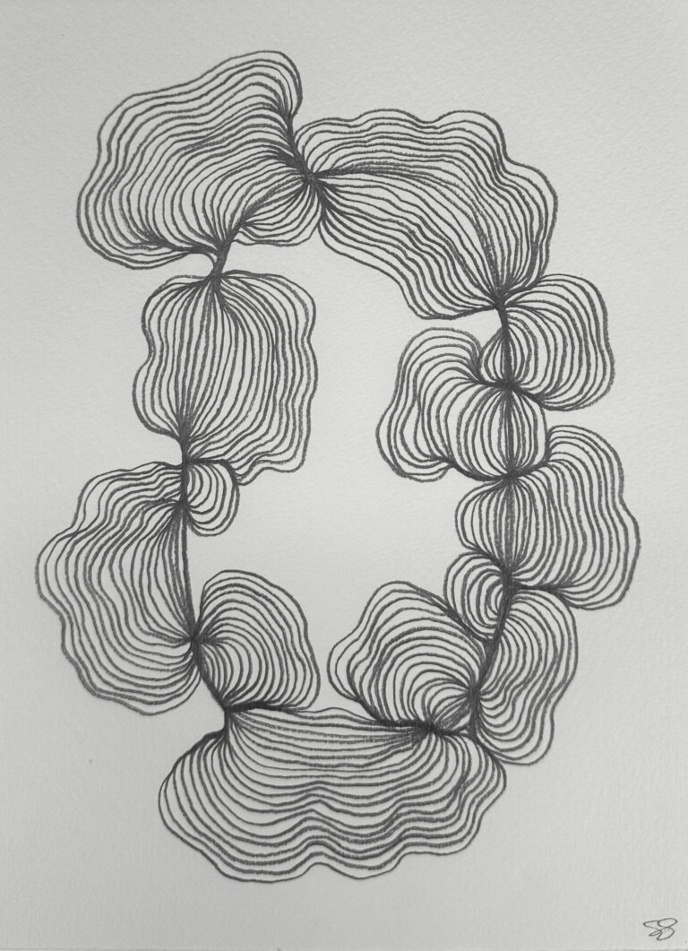 an art piece drawn in graphite on paper that looks like an oval, but there are ripple like waves that expand off of it in different areas like magnetic waves.