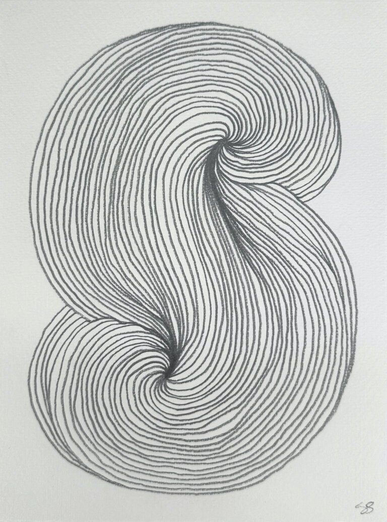 an abstract "s" shape drawn in graphite on paper. there are curving lines like magnetic fields that create this shape.