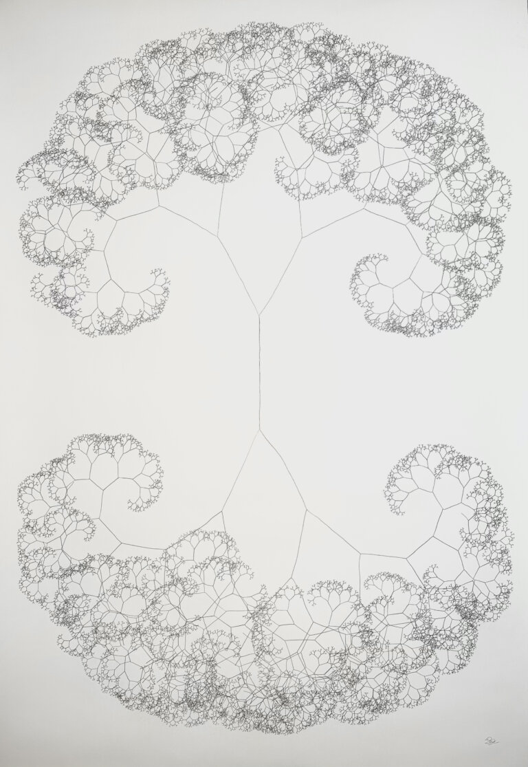 an abstract graphite drawing on paper of a curved shape made of branching into more and more branches. each line has two lines branching of of it in an exponential fashion. the drawing is then reflected vertically, and both pieces are connected with a single straight line
