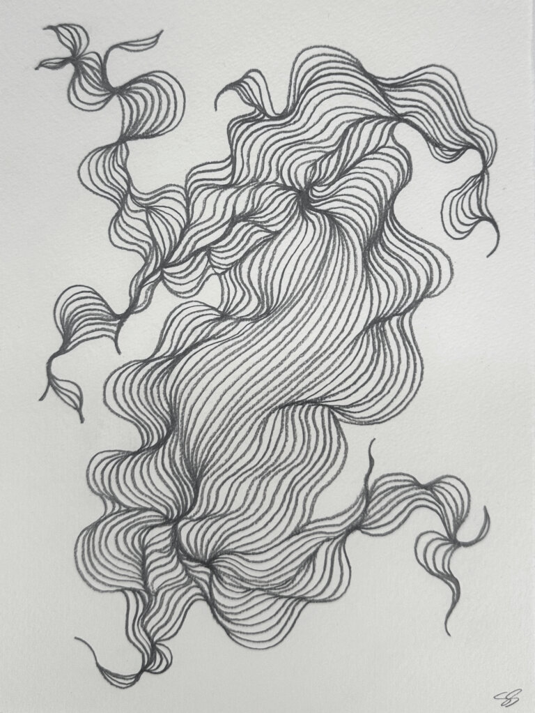 an abstract graphite drawing on paper that has several twisty lines that have other lines expanding off of it in an organic way, similar to magnetic field mapping