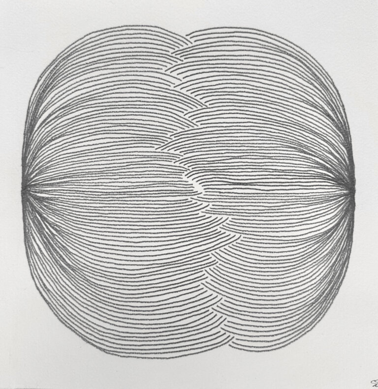 an abstract art piece with curving lines drawn in graphite forming a shape that looks like a magnetic field