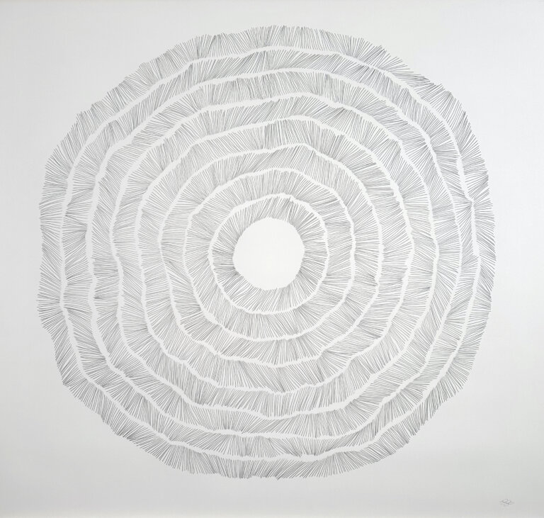 an abstract graphite drawing on paper of concentric circles that are made up of small hatchmarks. there are 8 circles