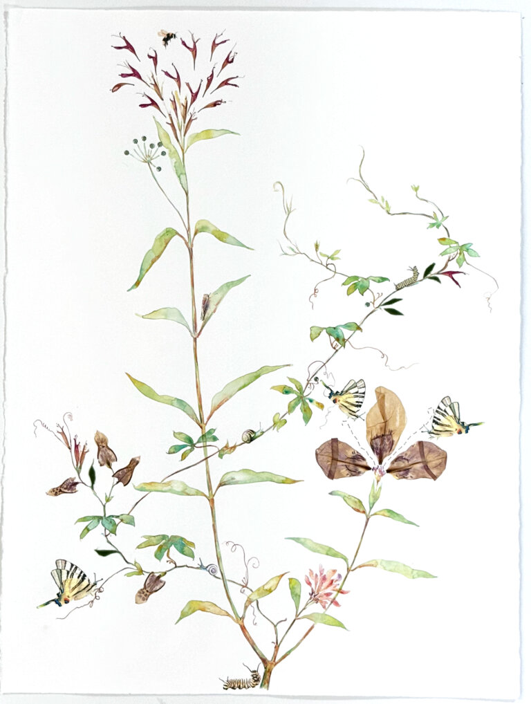a botanical mixed media piece depicting a large stem of different flowers and leaves. there are some green leaves that have been watercolored, as well as some brown leaves that have been collaged with organic material. there is a small reddish flower near the base with spiky petals. a monarch caterpillar creeps along the bottom of the page. there are three yellow and black striped swallowtail butterflies hovering in different areas of the piece. there are curly green tendrils coming off of the stems. there is a small snail with a green shell on the stem, as well as a smaller striped caterpillar
